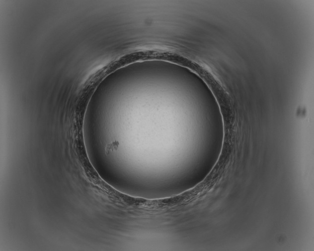 X0000090760967200708031626