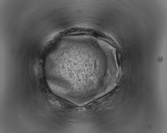 X0000090760968200708031626