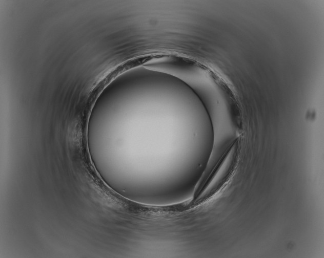 X0000090760969200708031626