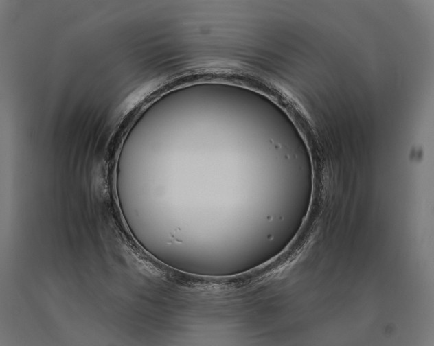 X0000090760970200708031626