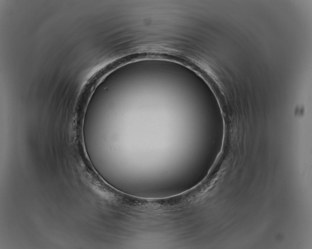 X0000090760971200708031626