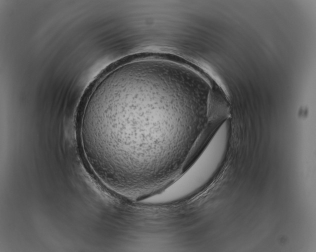 X0000090760972200708031626