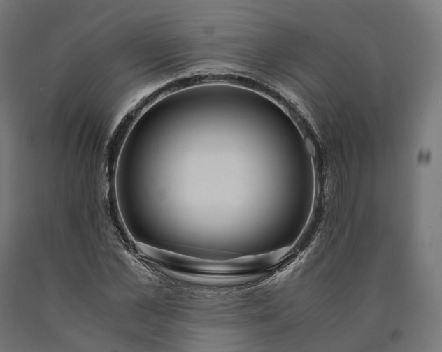 X0000090760973200708031626