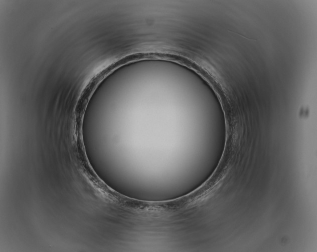 X0000090760974200708031626