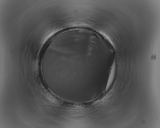 X0000090760975200708031626