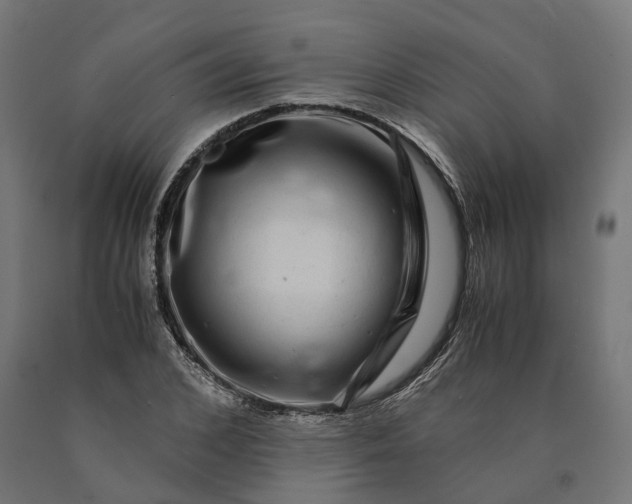 X0000090760976200708031626