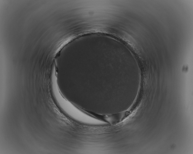 X0000090760977200708031626