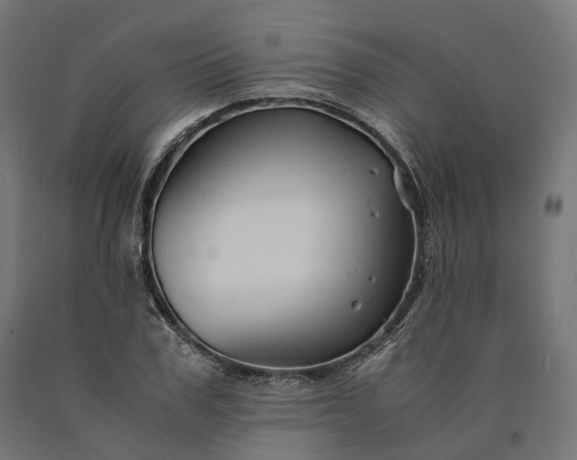 X0000090760979200708031626