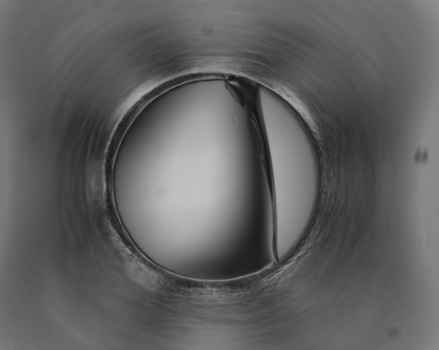 X0000090760980200708031626