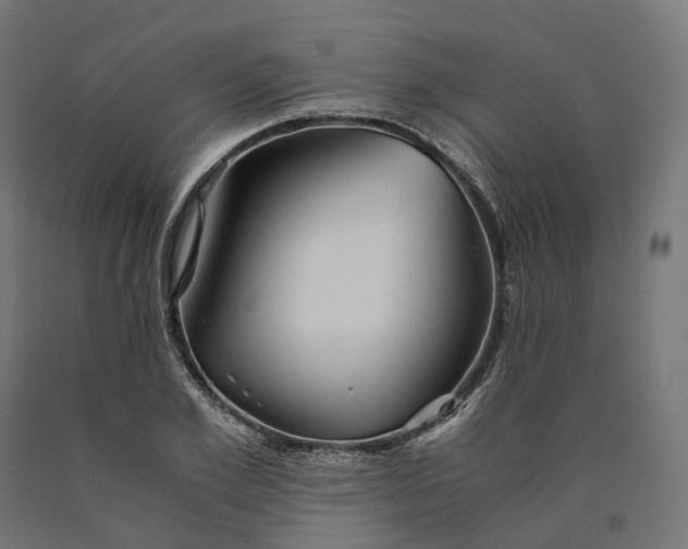 X0000090760981200708031626