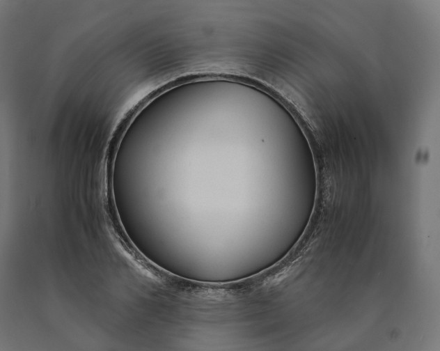 X0000090760982200708031626