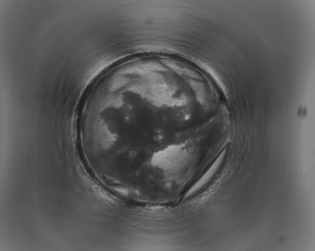 X0000090760983200708031626