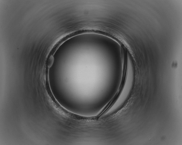 X0000090760984200708031626