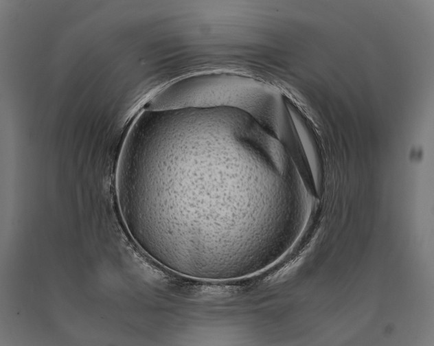 X0000090760985200708031626