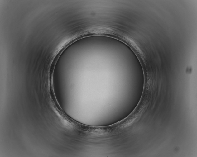 X0000090760986200708031626