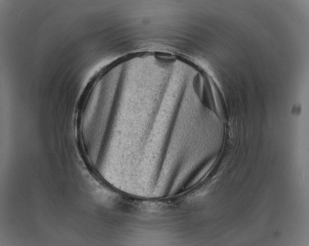 X0000090760987200708031626