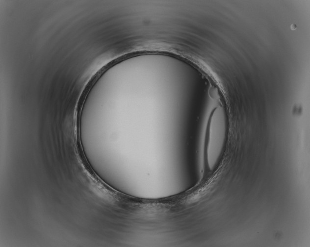 X0000090760988200708031626