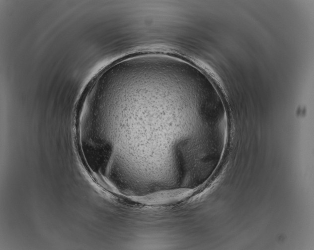 X0000090760989200708031626