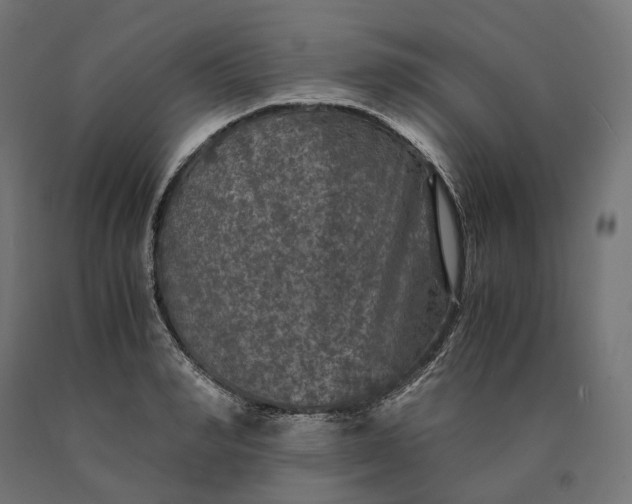 X0000090760990200708031626