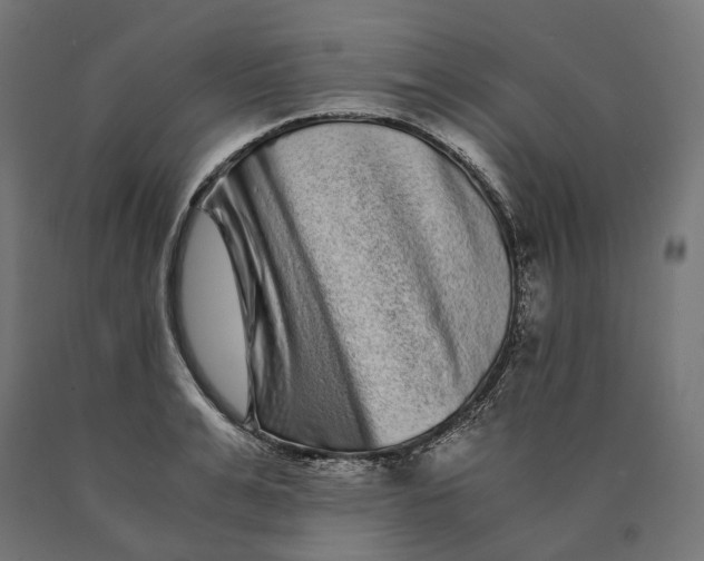 X0000090760991200708031626