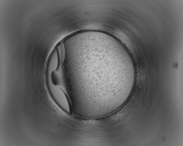 X0000090760992200708031626