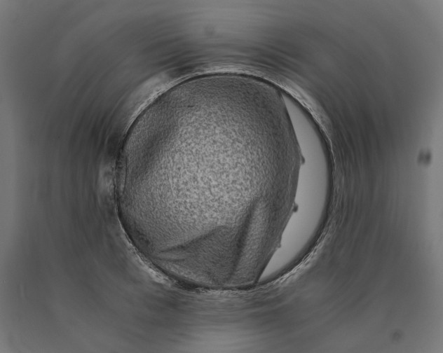 X0000090760993200708031626