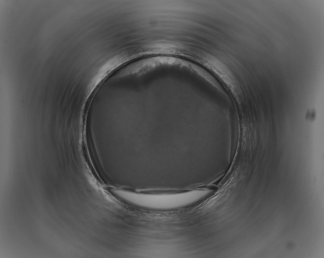 X0000090760994200708031626