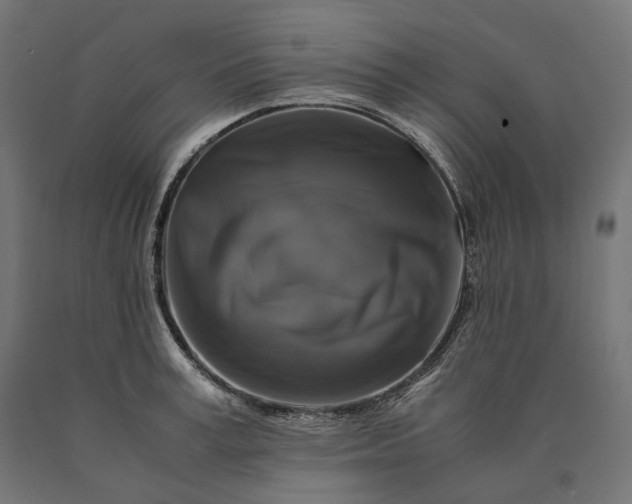 X0000090760995200708031626