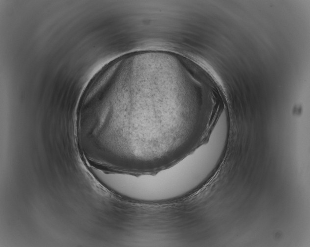 X0000090760996200708031626