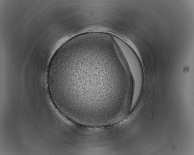 X0000090760997200708031626