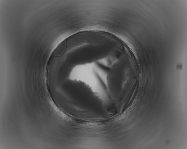 X0000090760998200708031626