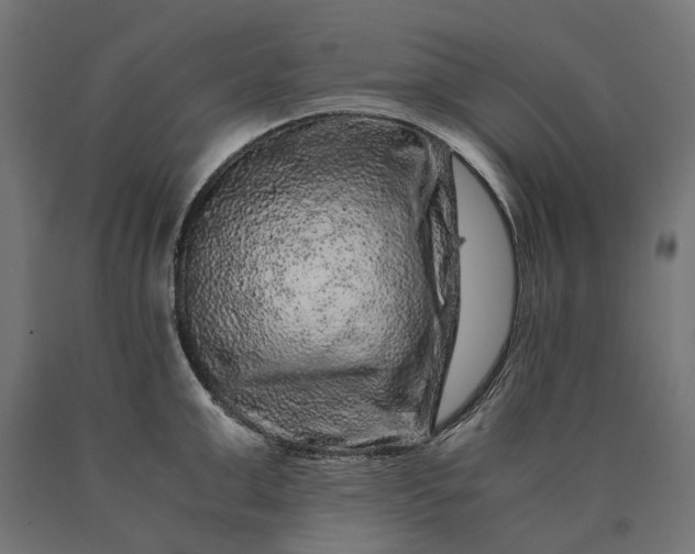 X0000090760999200708031626