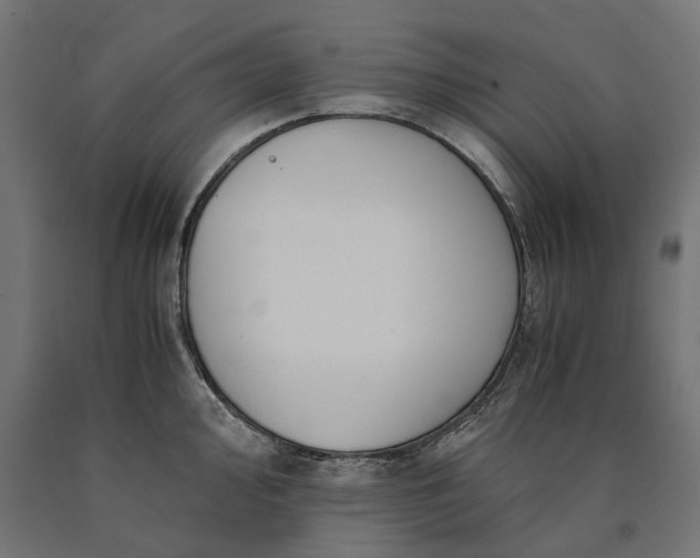 X0000090761000200708031626