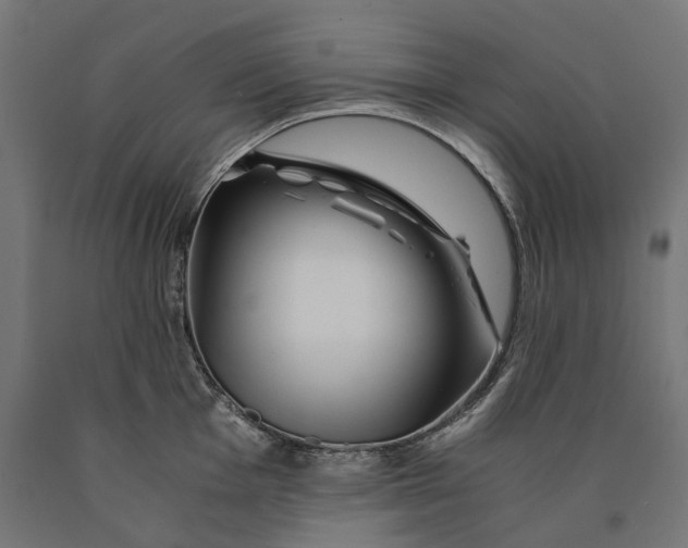 X0000090761001200708031626