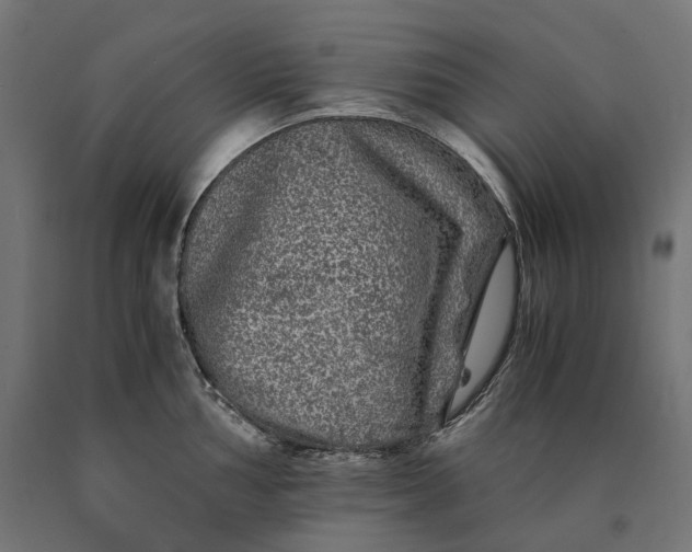 X0000090761002200708031626