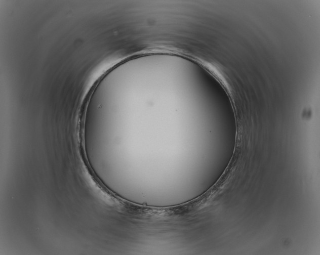 X0000090761003200708031626