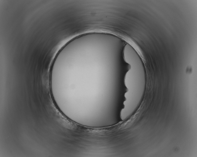 X0000090761004200708031626