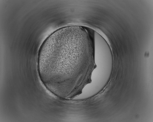 X0000090761005200708031626