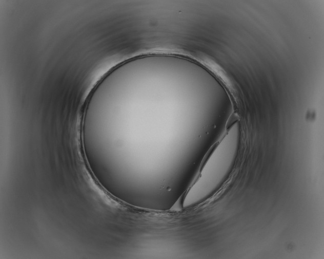 X0000090761006200708031626