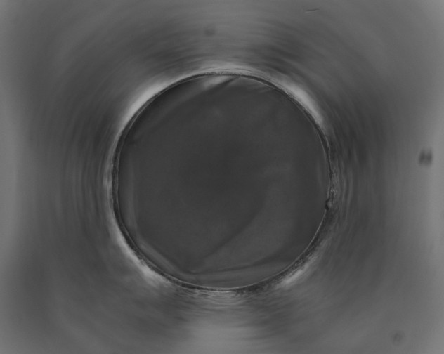 X0000090761007200708031626