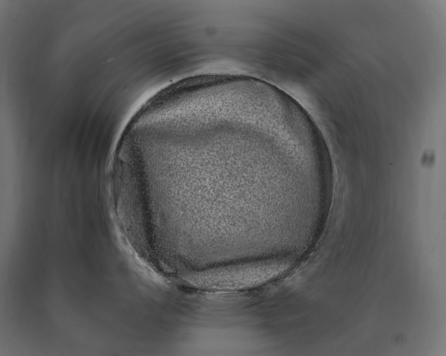 X0000090761008200708031626