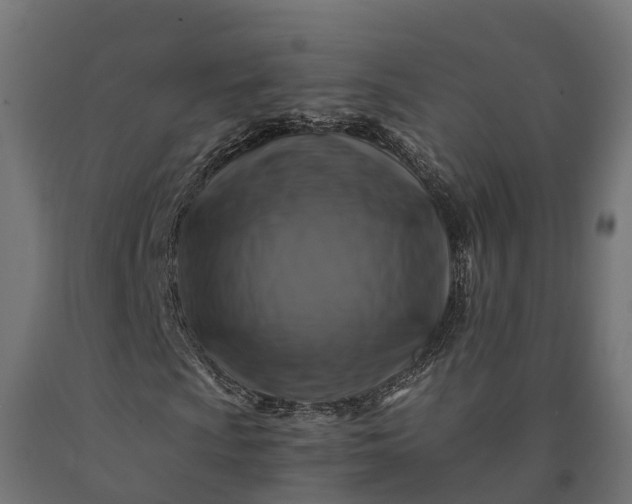 X0000090761009200708031625