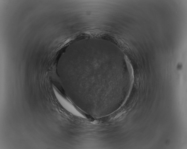 X0000090761010200708031625