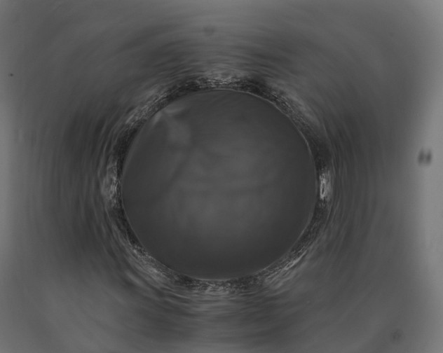 X0000090761011200708031625