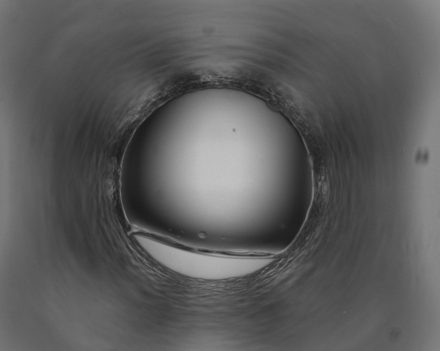 X0000090761012200708031625