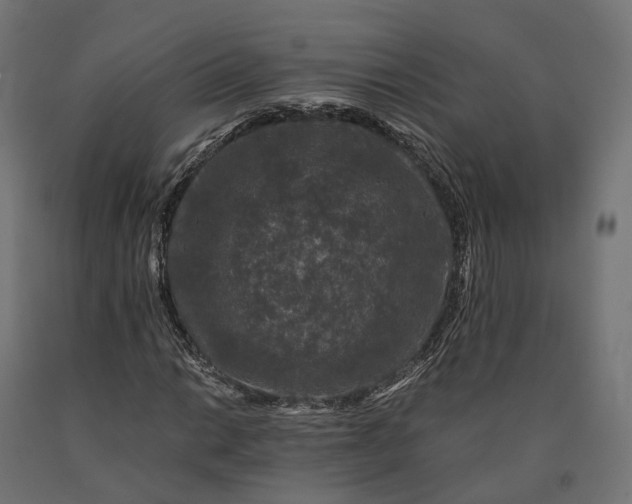 X0000090761014200708031625