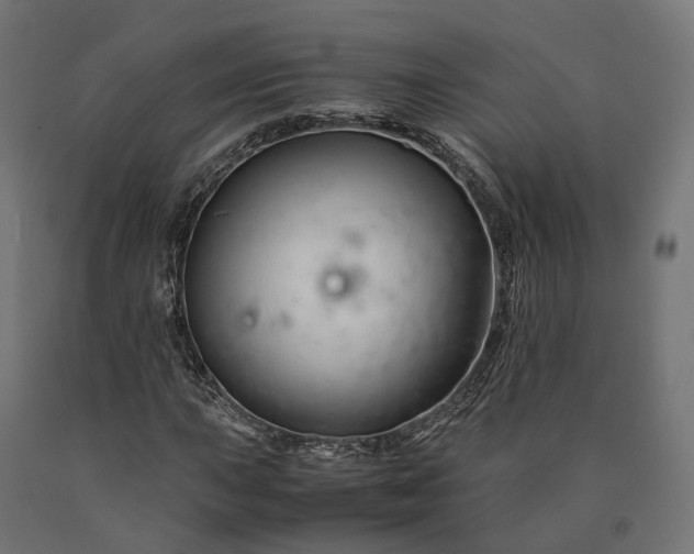 X0000090761015200708031625