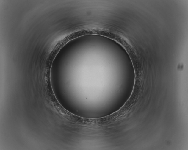 X0000090761016200708031625