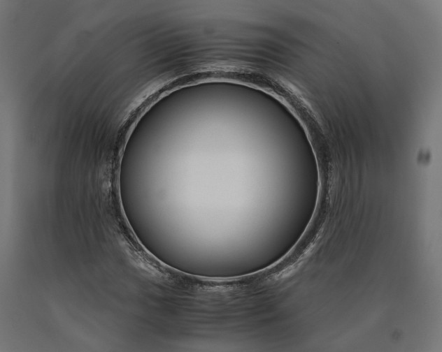 X0000090761017200708031625