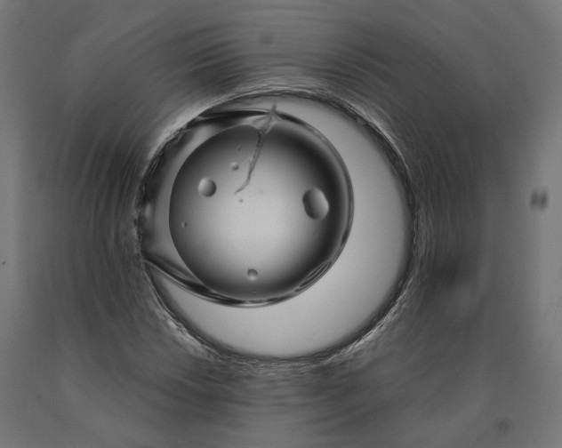 X0000090761018200708031625